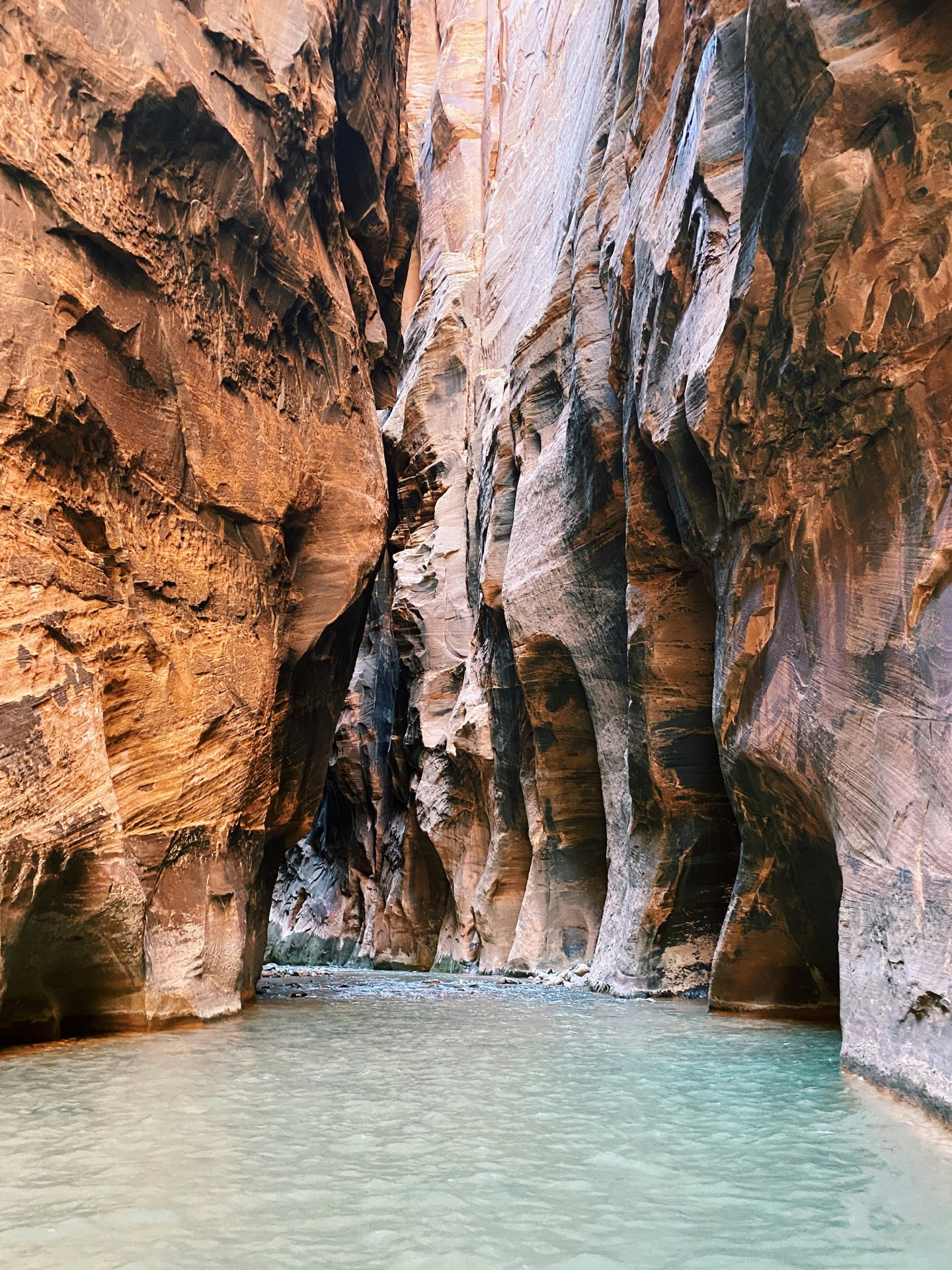 Hiking & National Parks