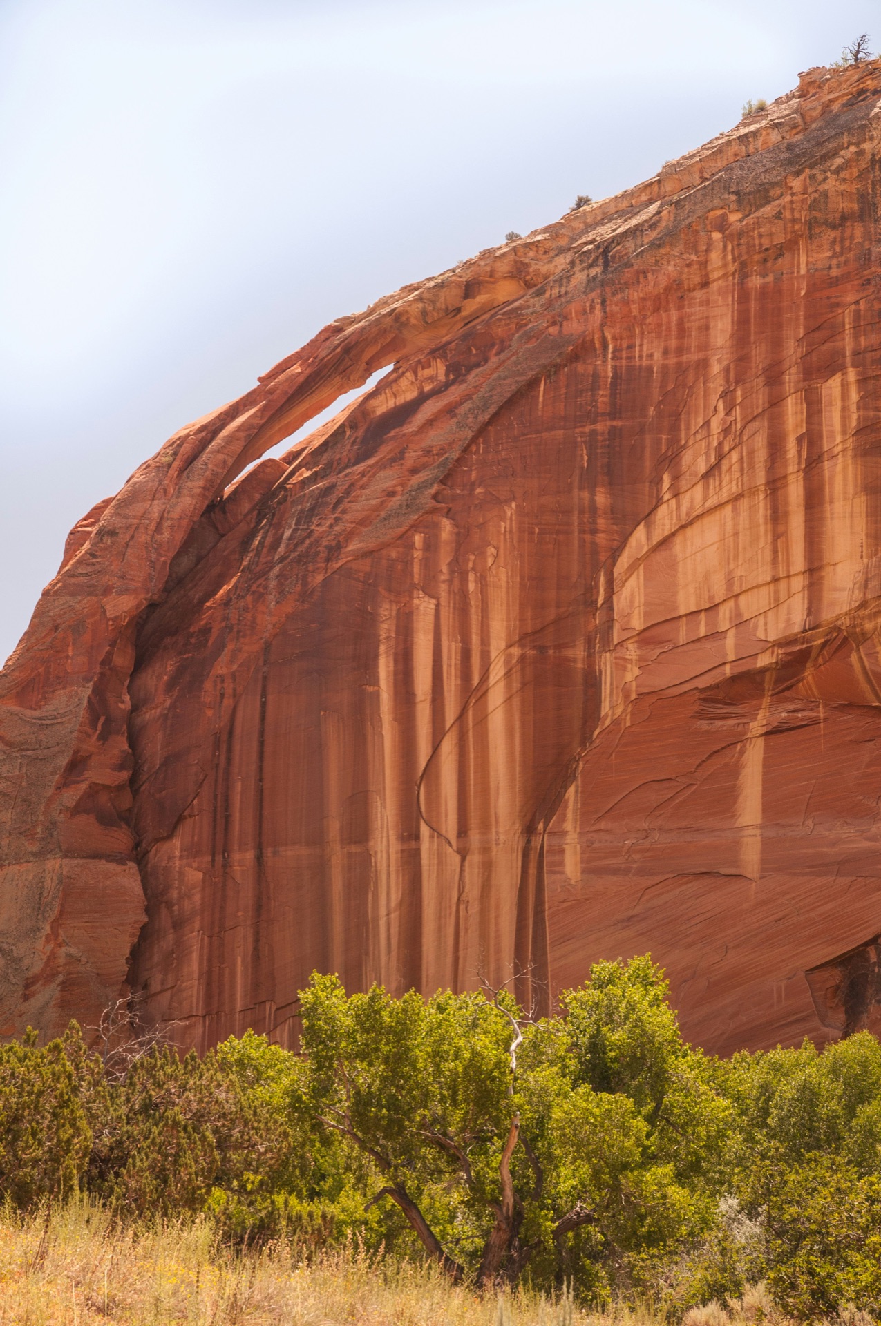 Sand Hollow State Park