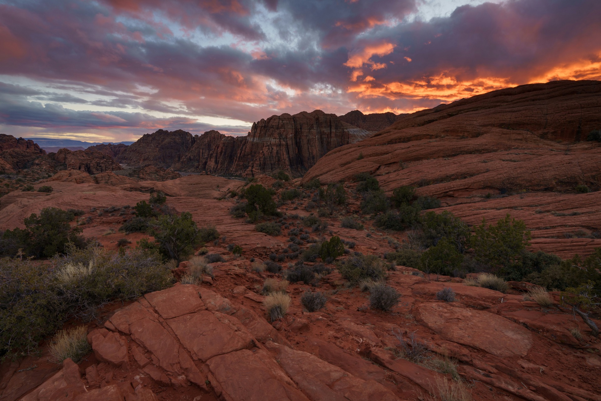 Snow Canyon State Park
